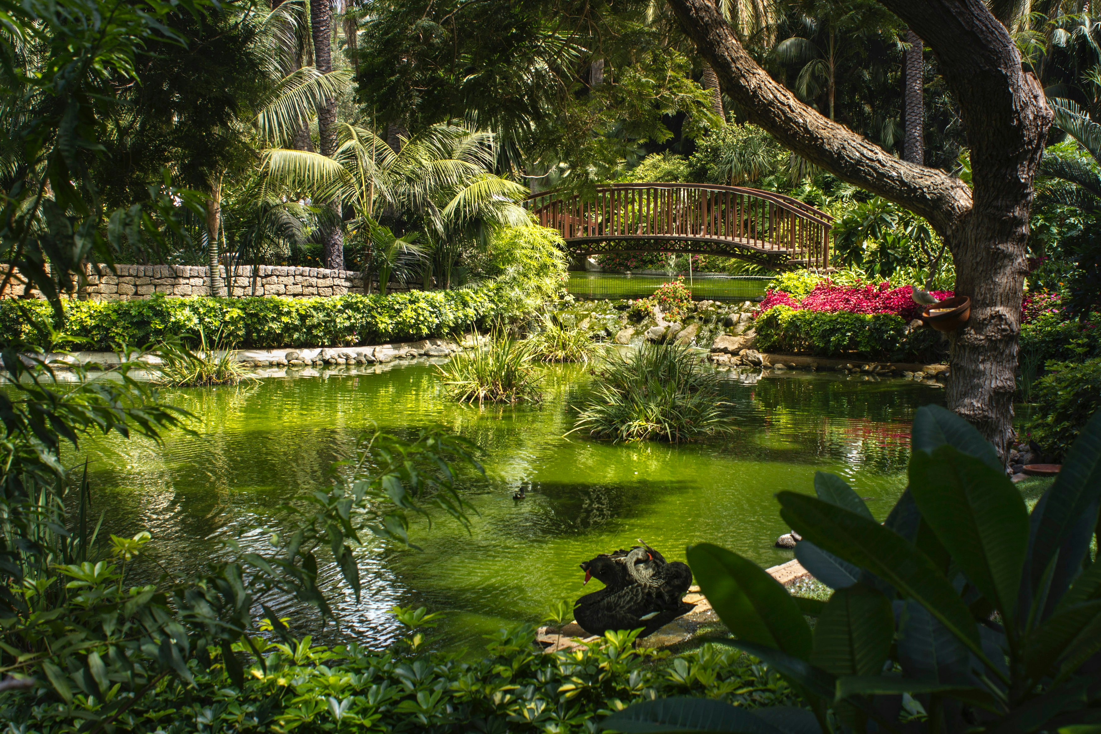 Hotel Botanico and The Oriental Spa Garden 45/49