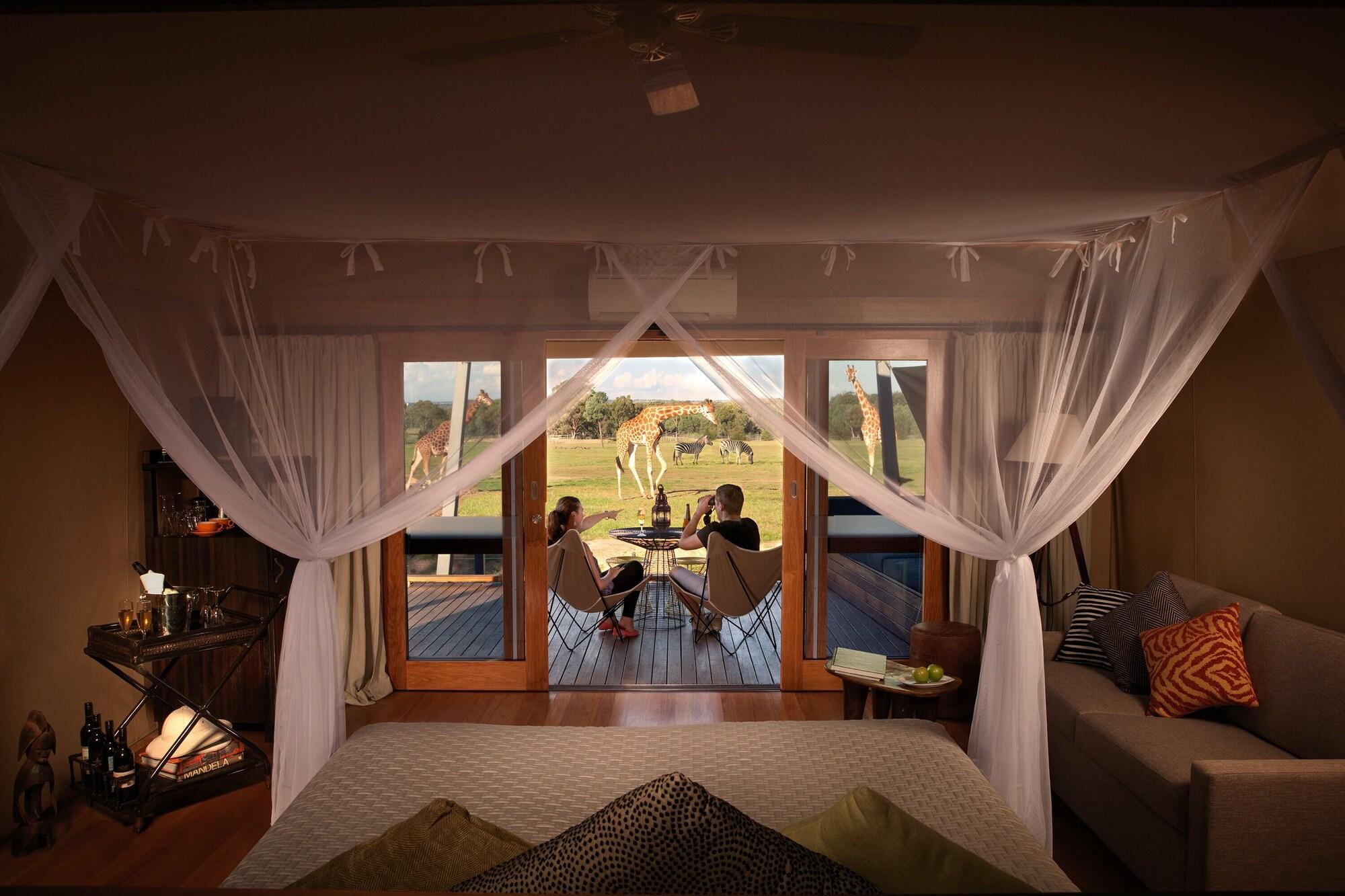 Zoofari Lodge 4/13