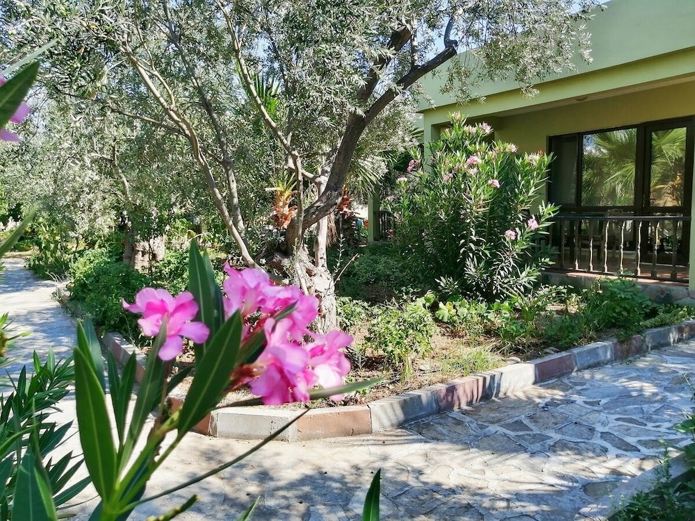 Assos Büyük Yildizsaray Otel 39/50