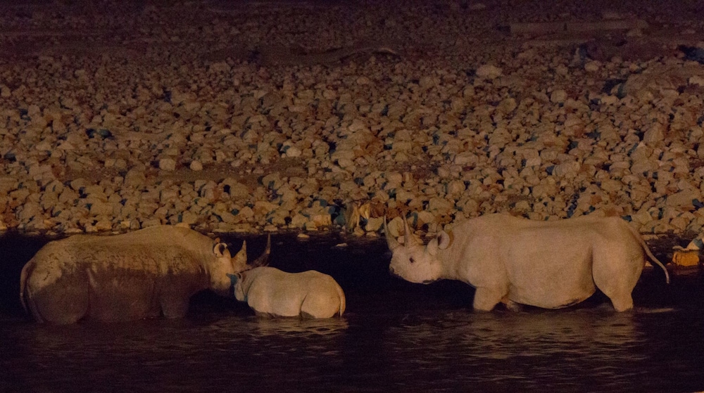 Aha Eagle Tented Lodge & Spa Etosha 21/56