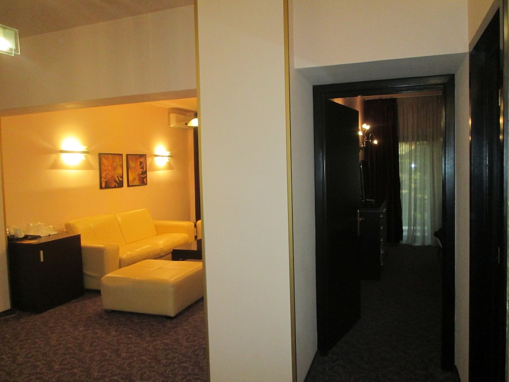Dumbrava Hotel 39/70