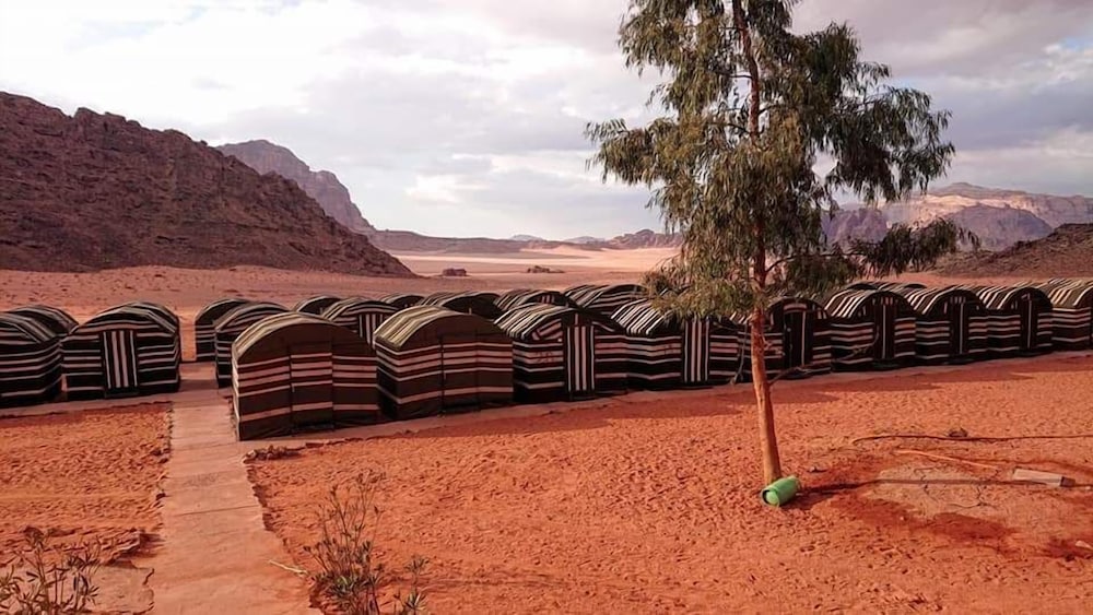 Wadi rum light camp 6/8