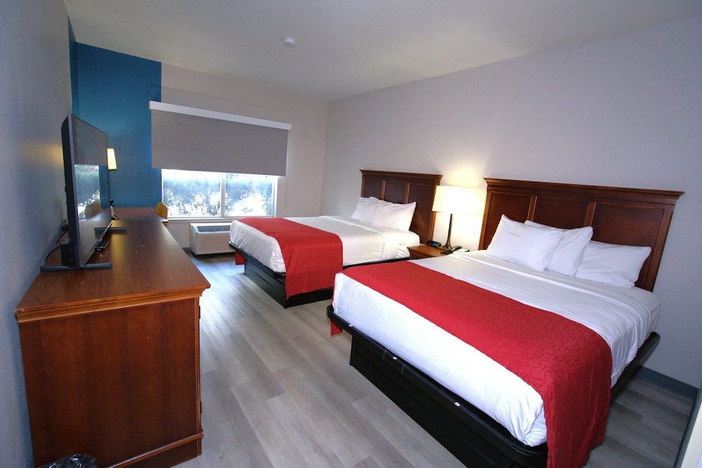 Room, 2 Queen Beds, Accessible