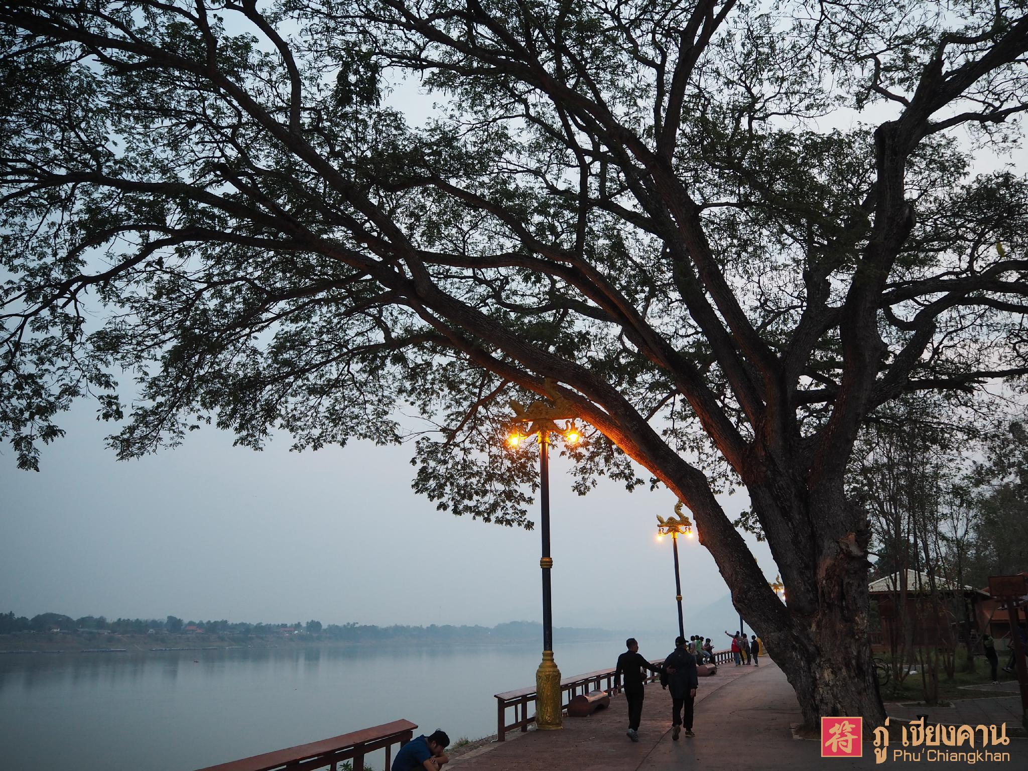 Phu Chiangkhan 32/34