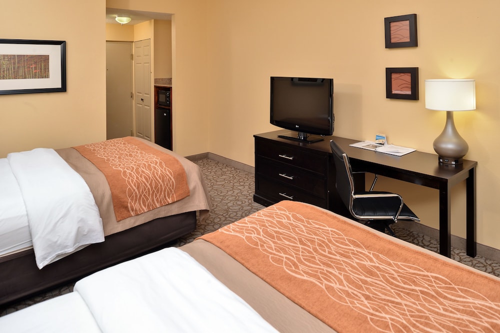 Comfort Inn Suites At Stone Mountain 19/39