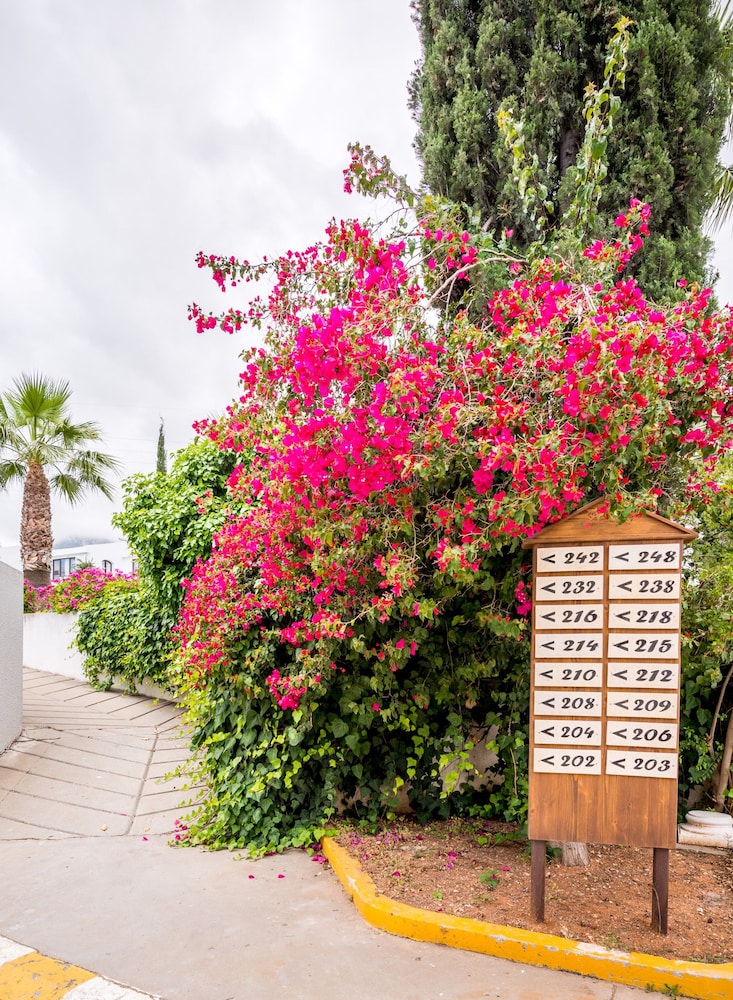 The Olive Tree Hotel 44/50