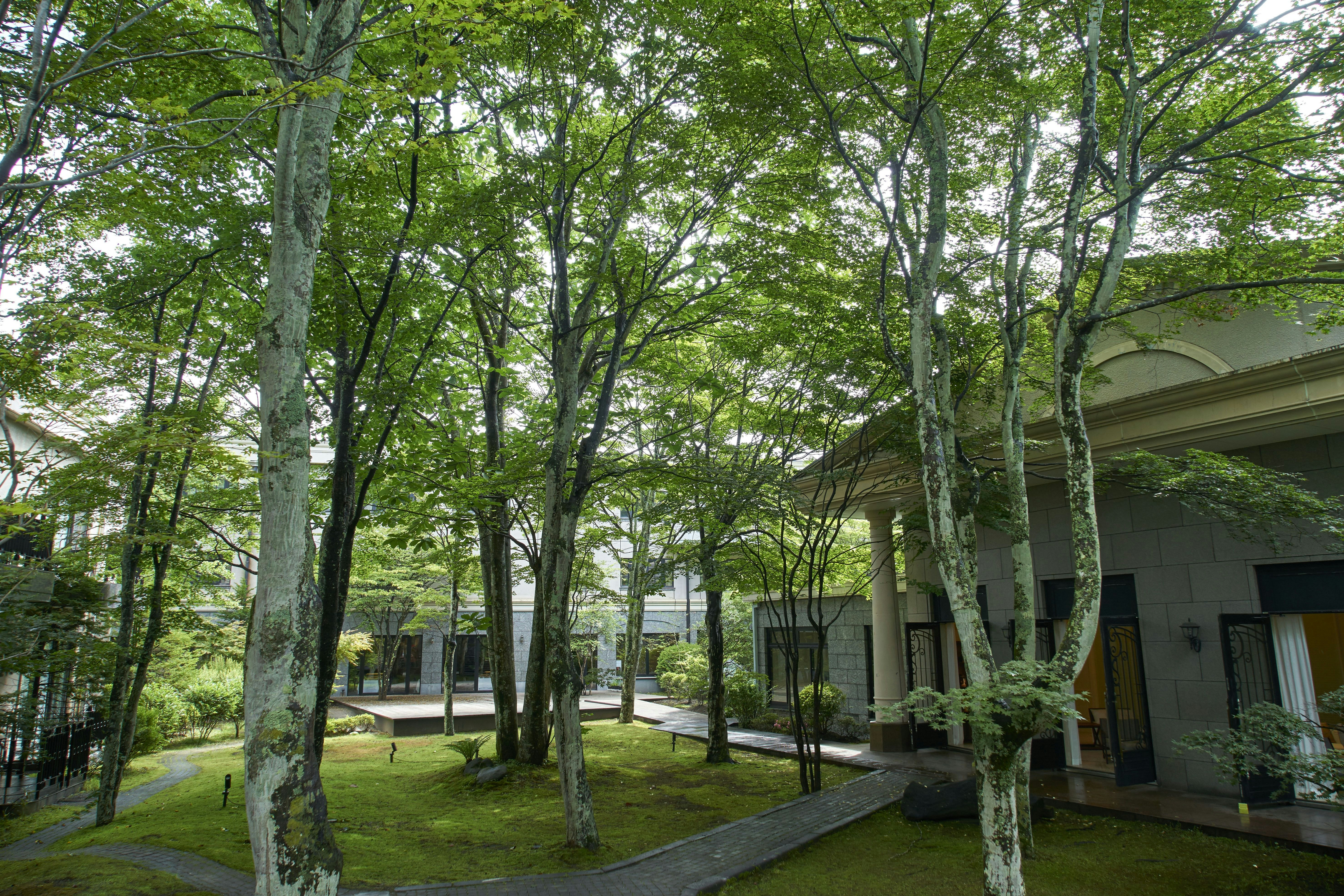 Kyukaruizawa Kikyo Curio Collection By Hilton 14/14