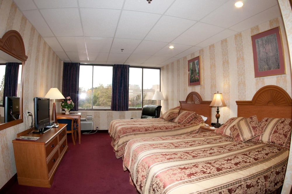 Amsterdam Hotel 14/47