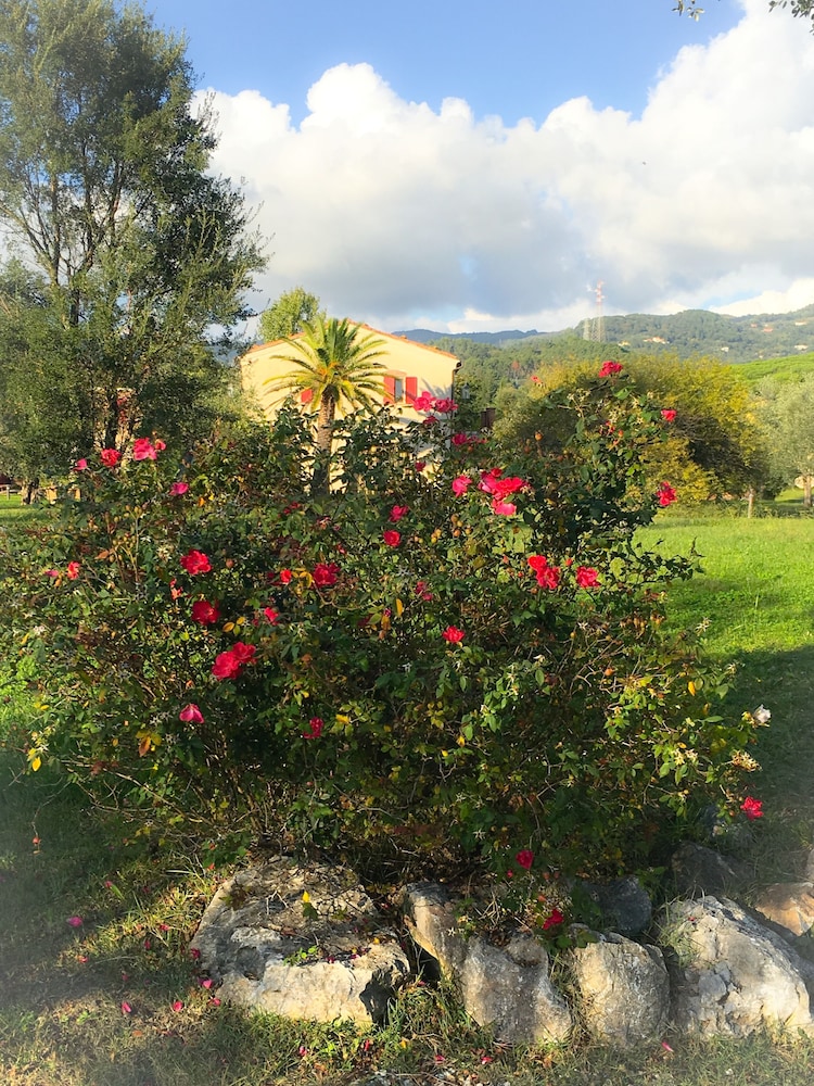 LA GHIAIA RESORT 51/61