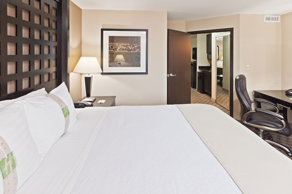 Holiday Inn Hotel & Suites Tulsa South 14/56