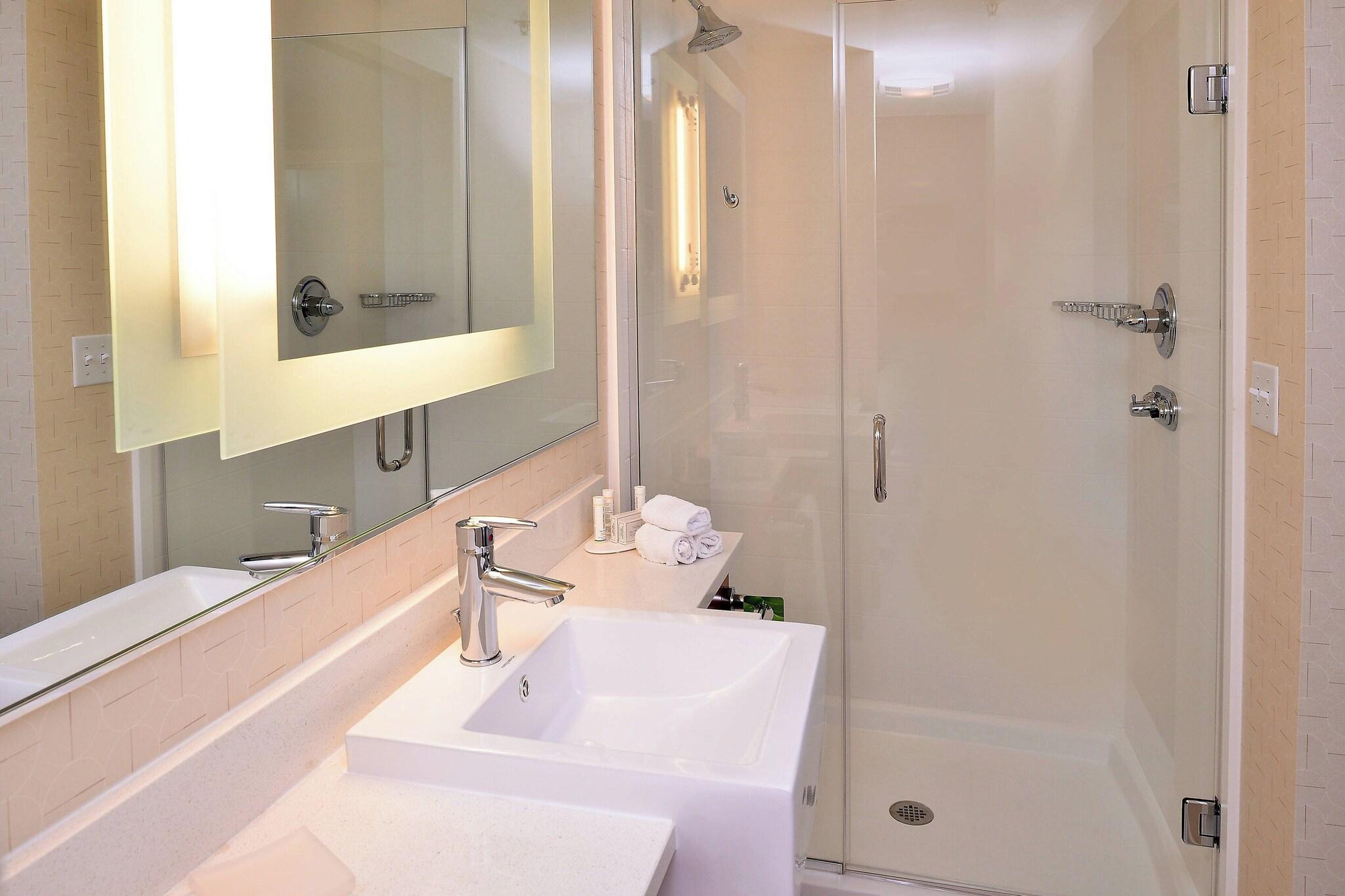 استوديو لذوي الإعاقة، Springhill Suites By Marriott Voorhees Mt Laurel Cherry Hil 3/3