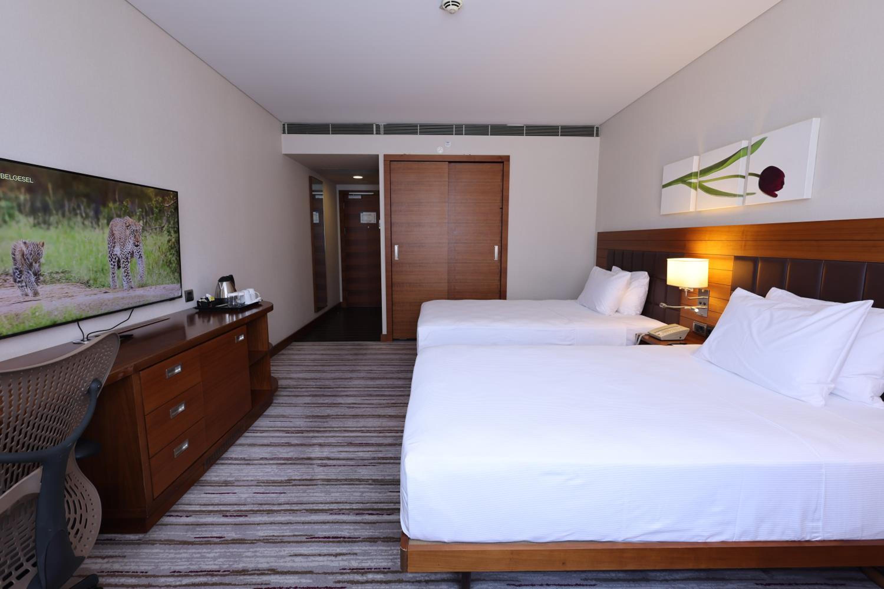 ROOM, TWIN BEDS