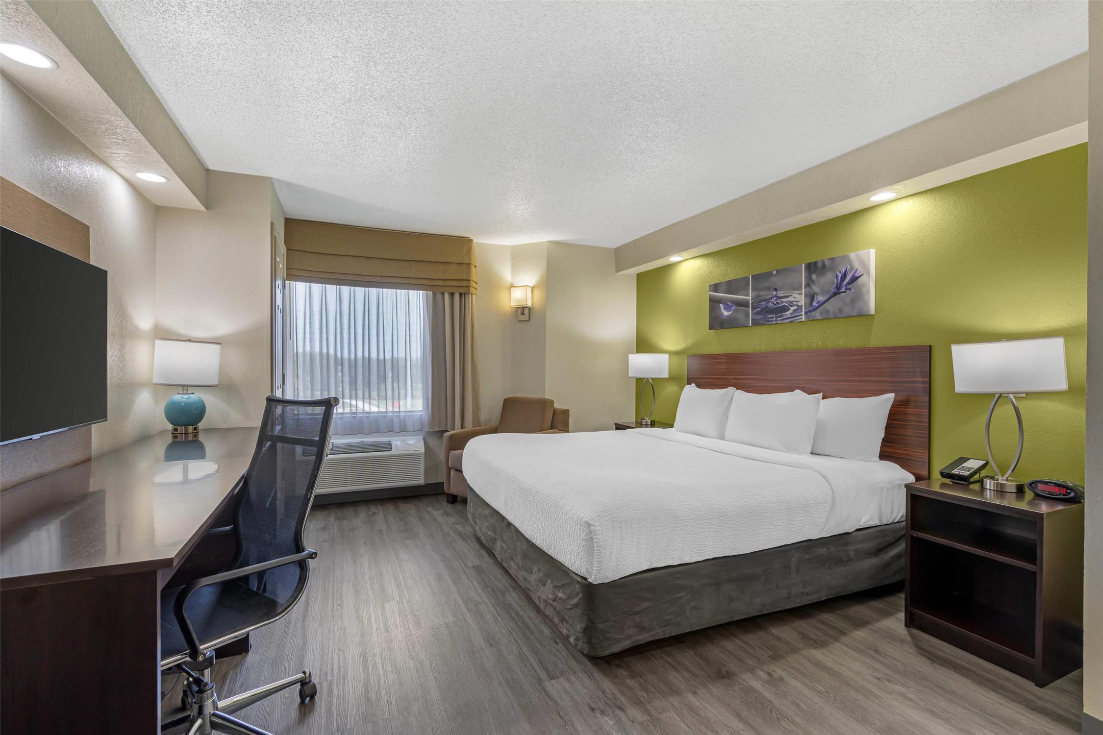 Room, King Bed