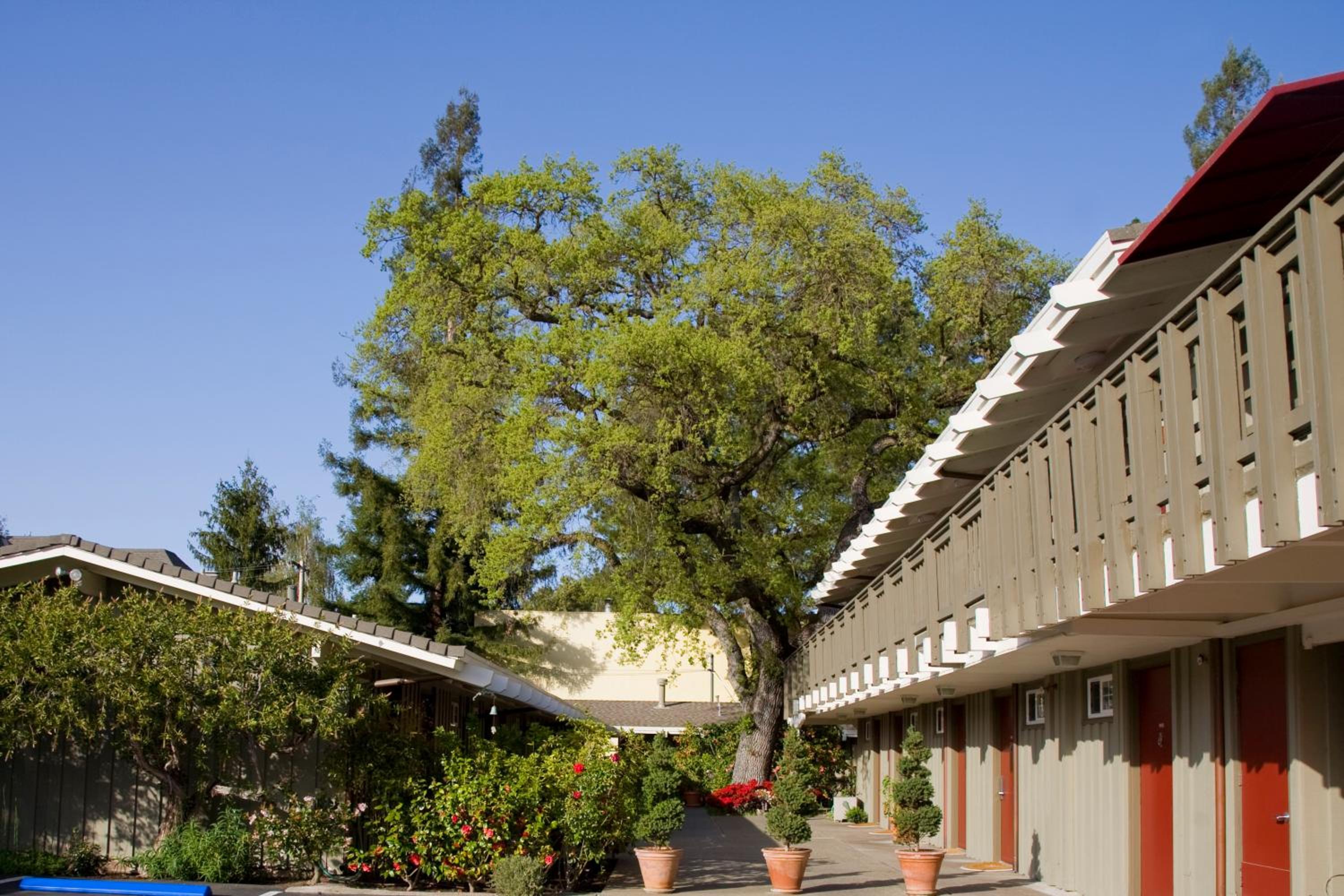 The Cottages Hotel 3/39