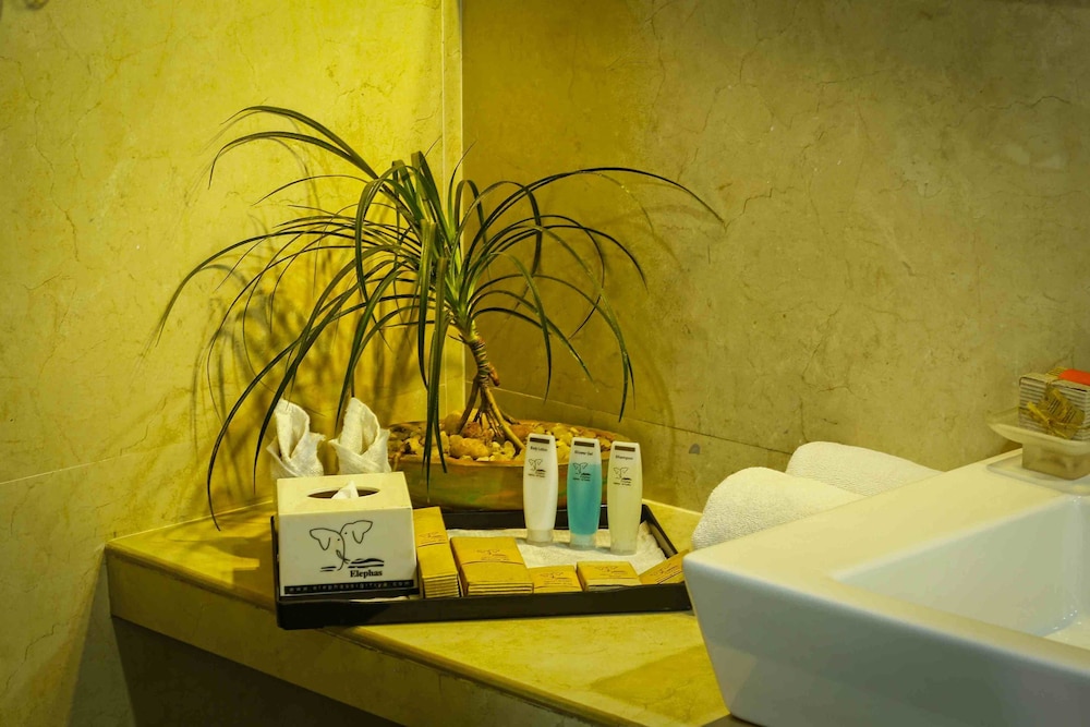 Elephas Resort & Spa 40/40