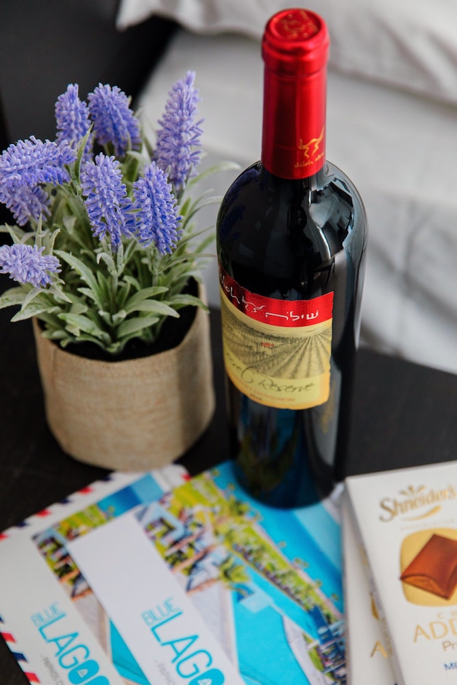 Blue Lagoon Kosher酒店(Blue Lagoon Kosher Hotel) 图片3