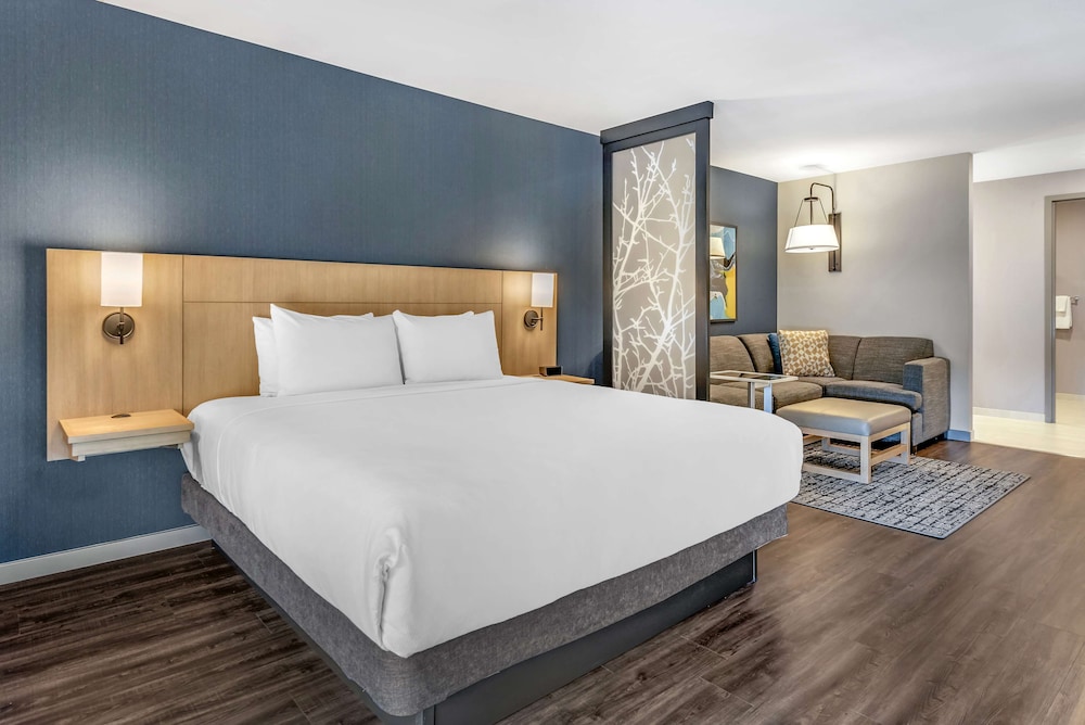 SUITE, KING BED, SOFA