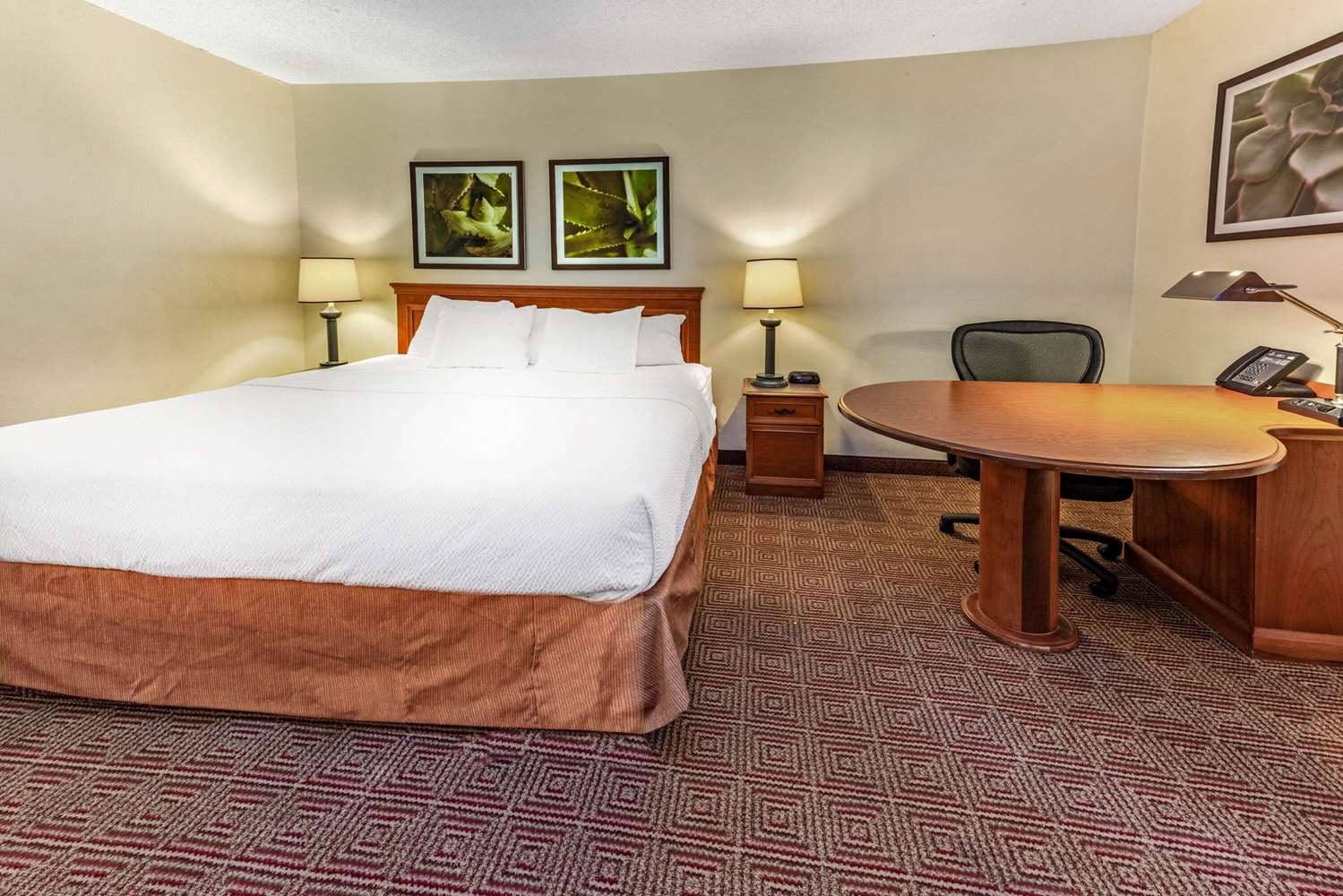 La Quinta Inn And Suites By Wyndham Tampa Brandon West 22/53
