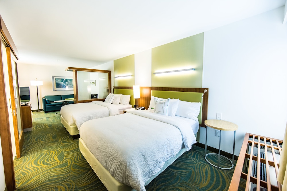 SpringHill Suites Lumberton 15/59