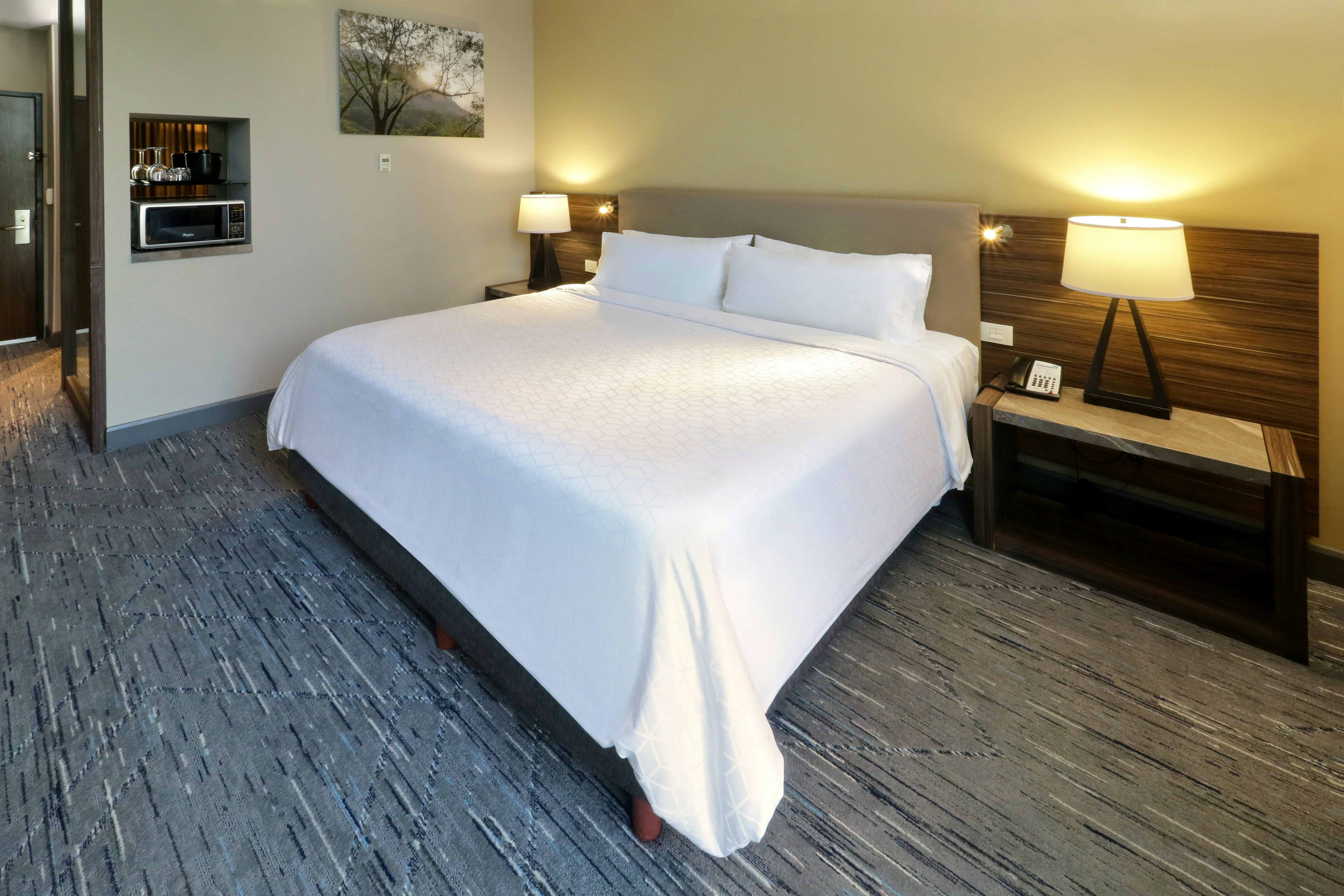 Room, King Bed, Accessible