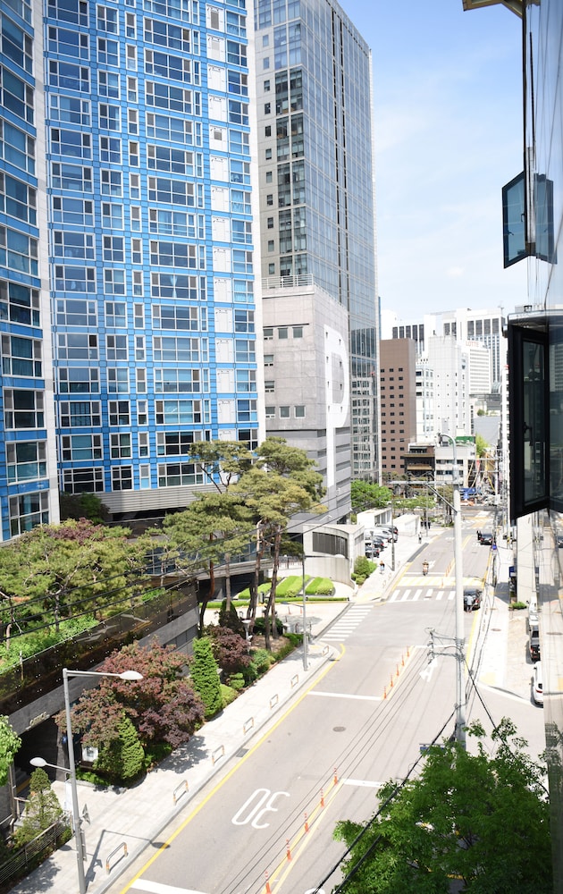 Namsan Forest In Myeongdong 47/56