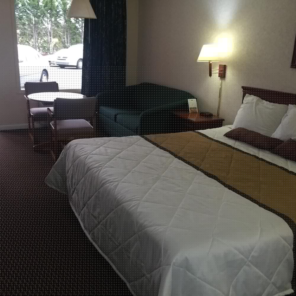 Econo Lodge Calhoun North Damascus 13/41