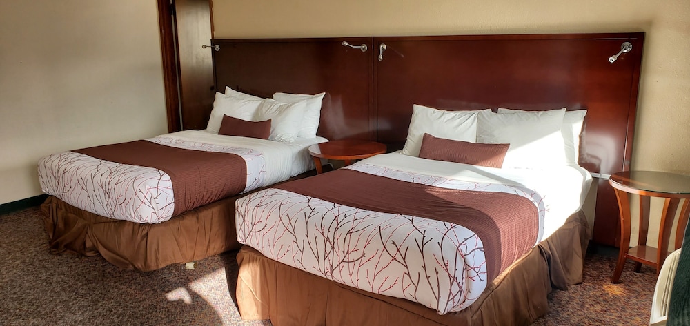 Guesthouse Inn Aberdeen 6/46