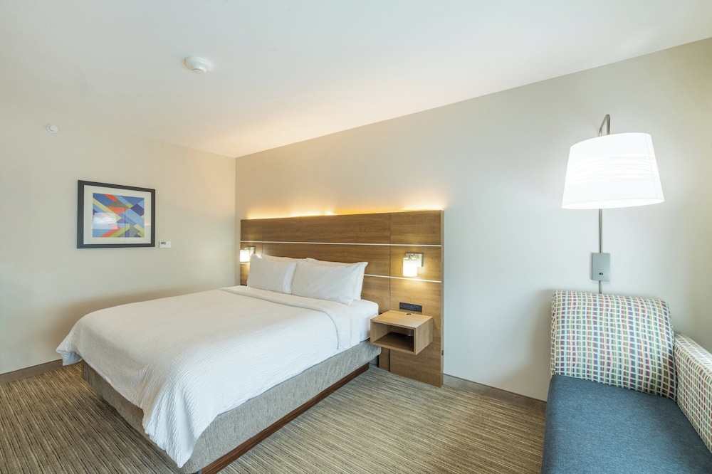 غرفة قياسية بسرير كينج، Holiday Inn Express Suites Lindale 4/5