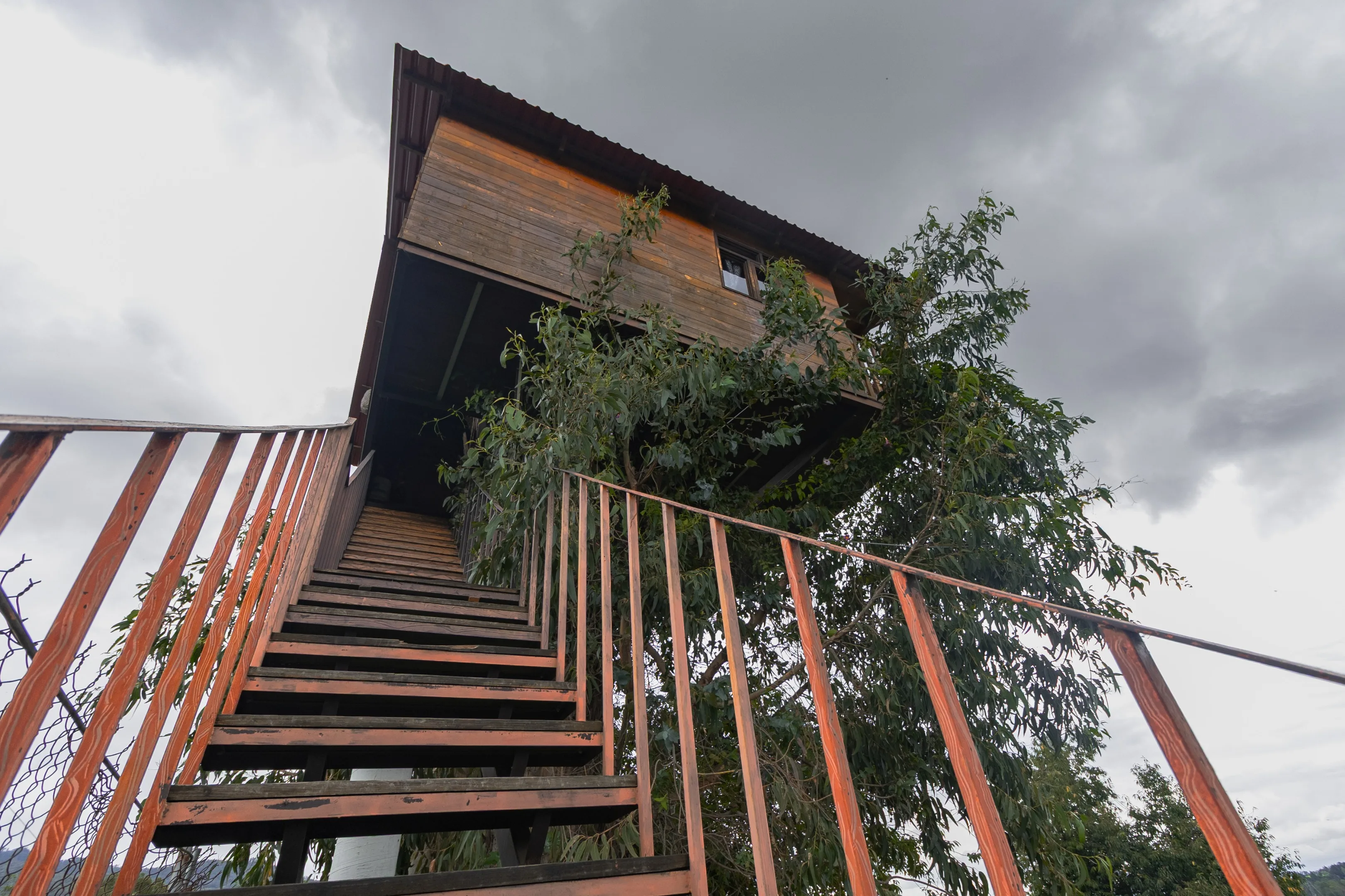 Casita del arbol Trini By GEstores 4/30