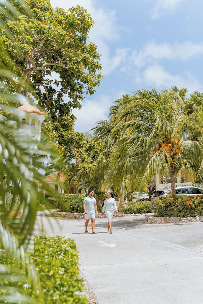 Sonesta Hotels & Resorts Livingstone Curacao 67/70