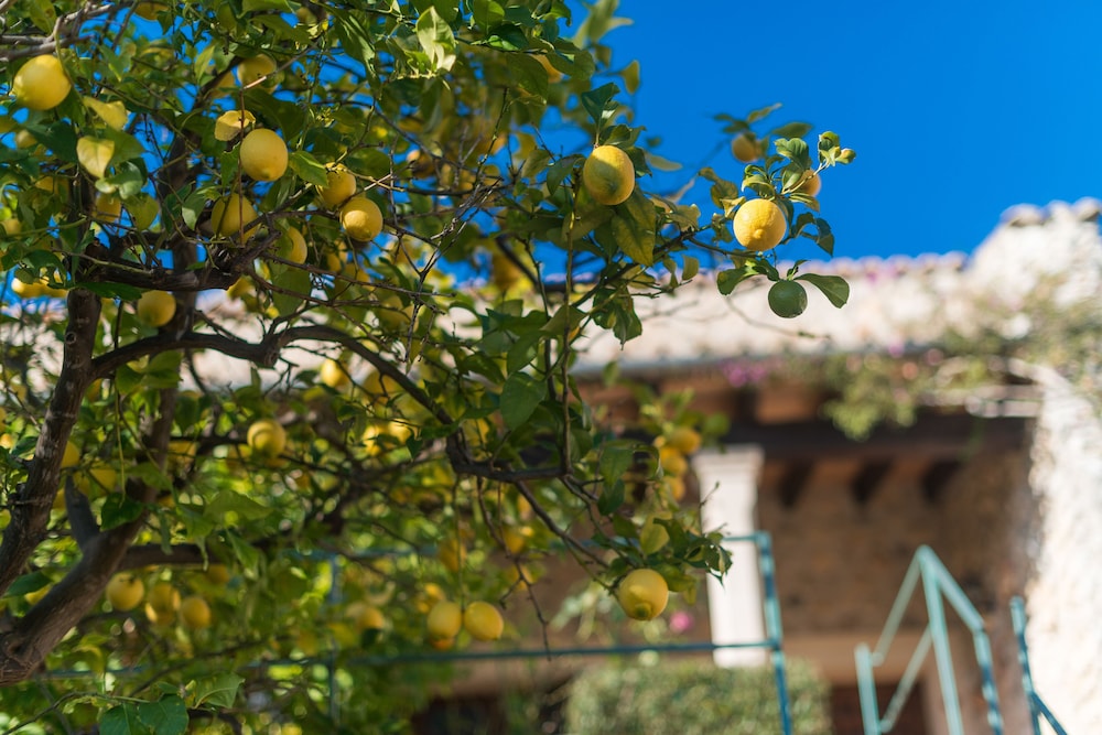 New Can Furios Hotel 38/50