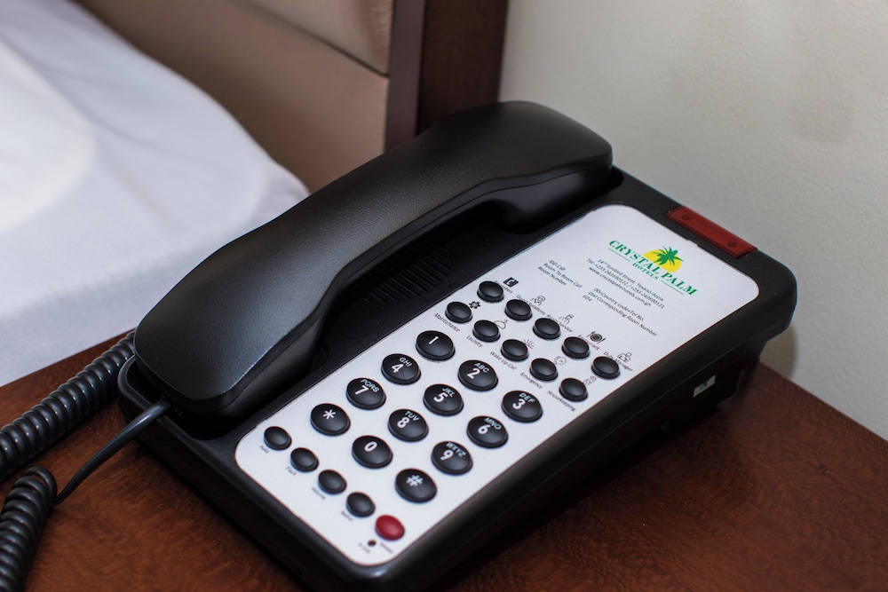 クリスタル パーム ホテル(Crystal Palm Hotel) 写真4