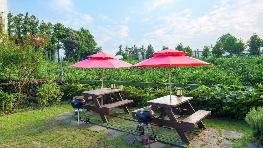 Jeju Inhouse Pension 49/53