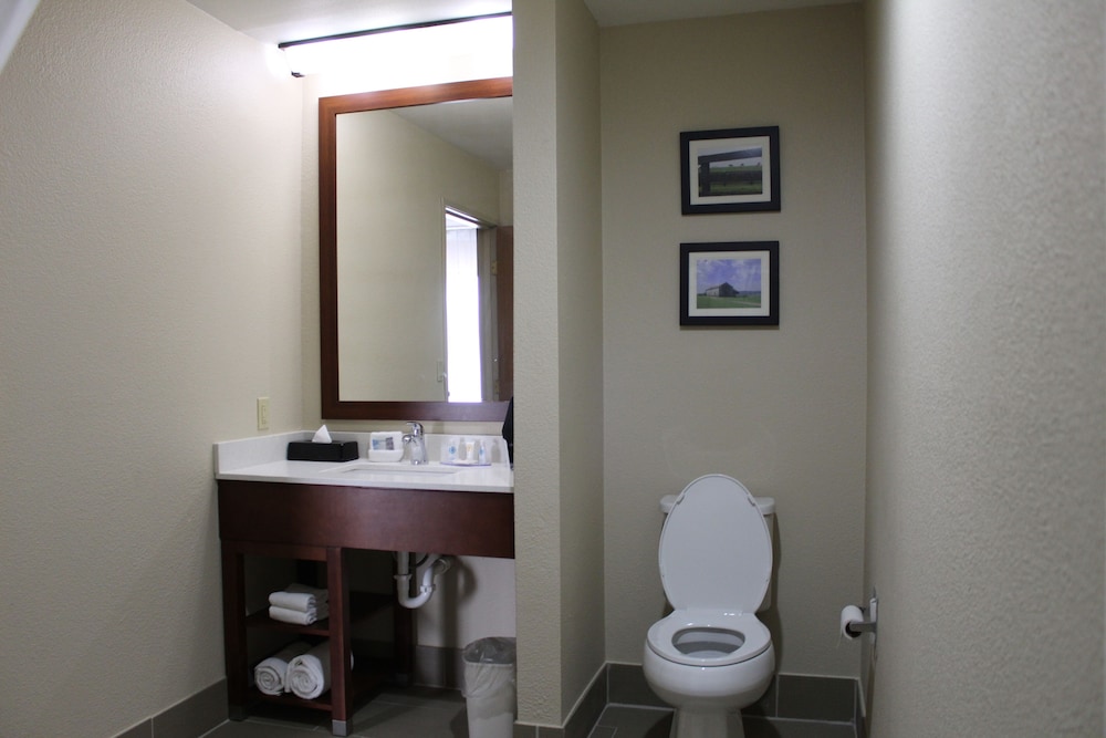 Comfort Inn Paducah I-24 13/36