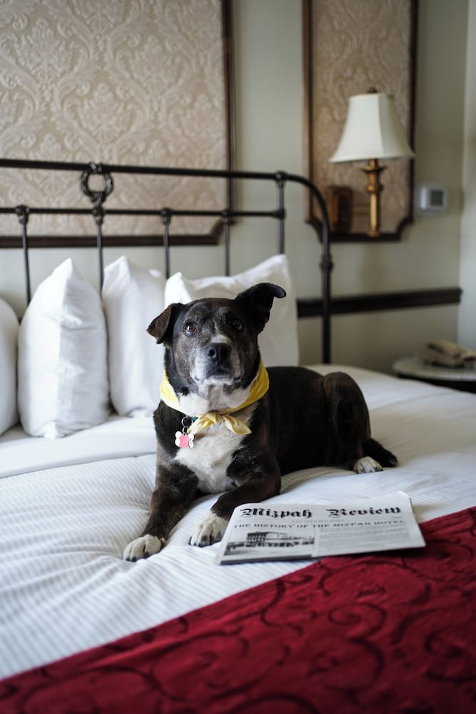 Mizpah Hotel 19/38