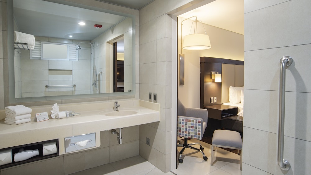 Holiday Inn Express Mexico Basilica 11/52