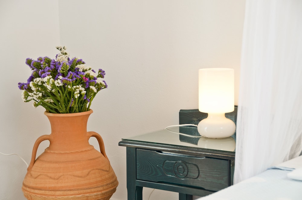 Ydreos Studios & Apartments photo3