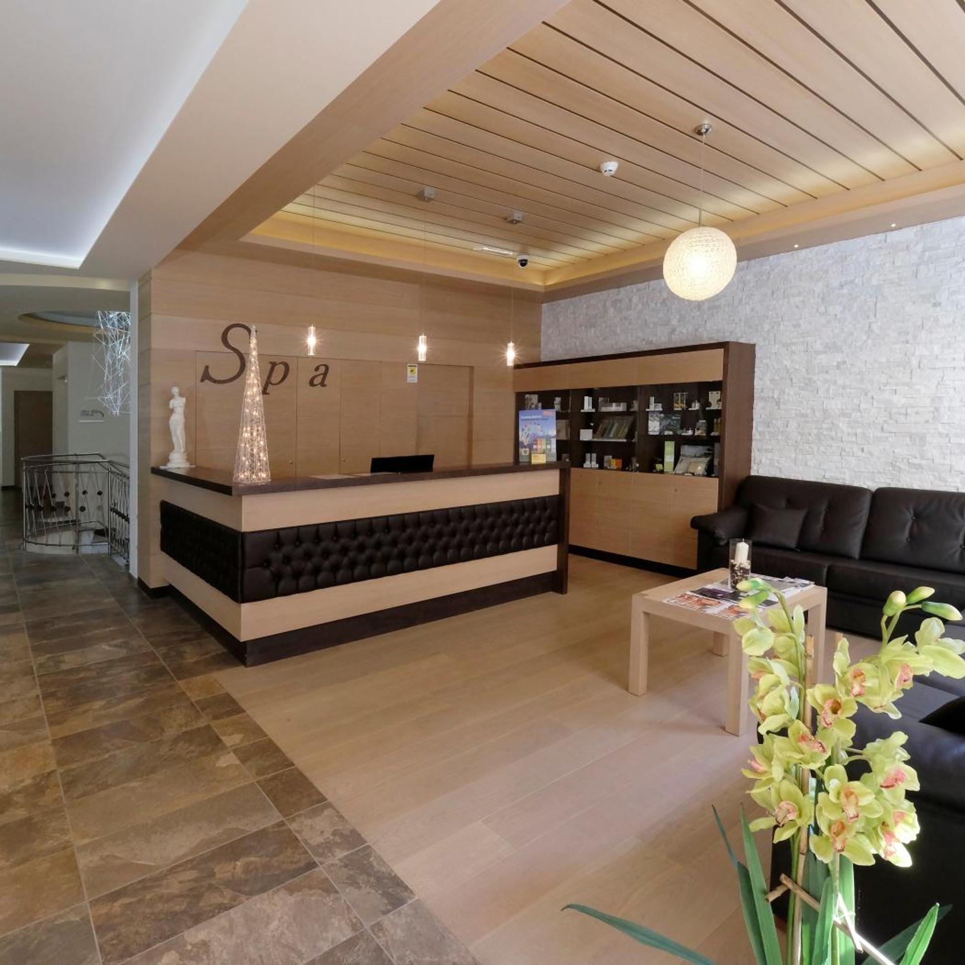 Park Hotel Rio Stava 11/55
