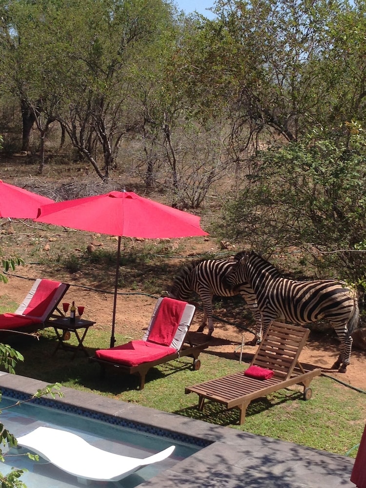 Imbube Safari Lodge 25/50