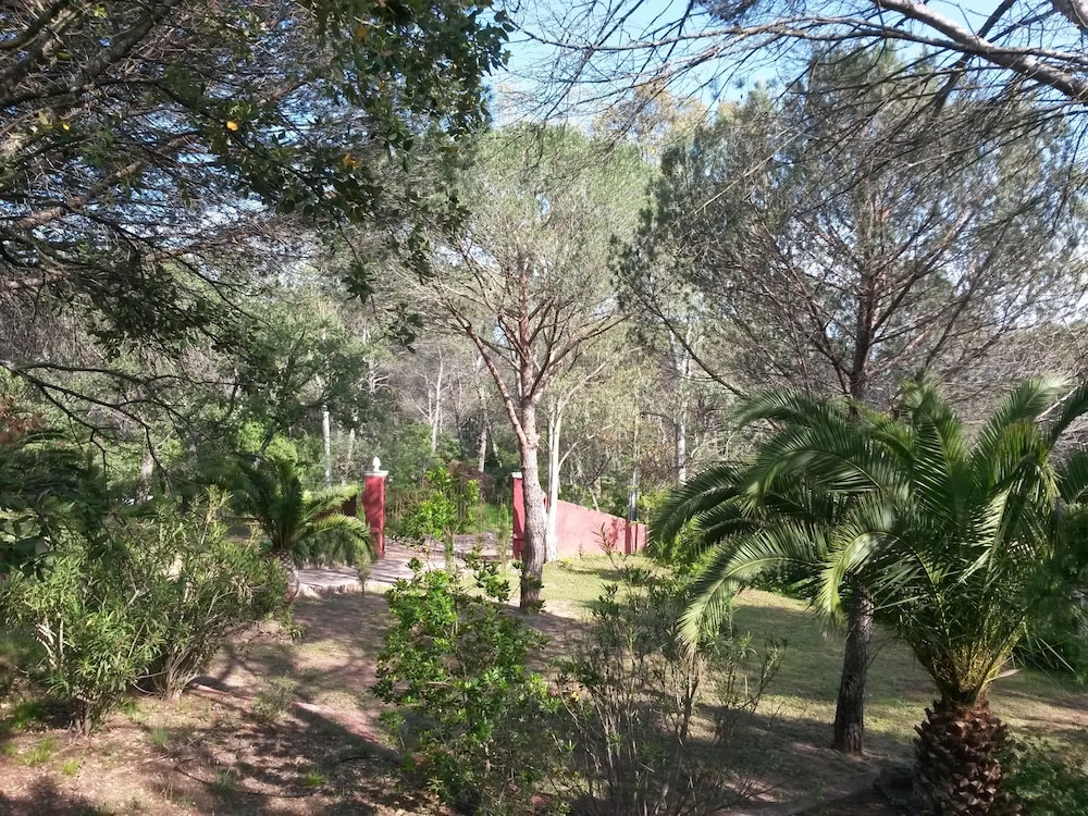 Les Mayombes 27/31