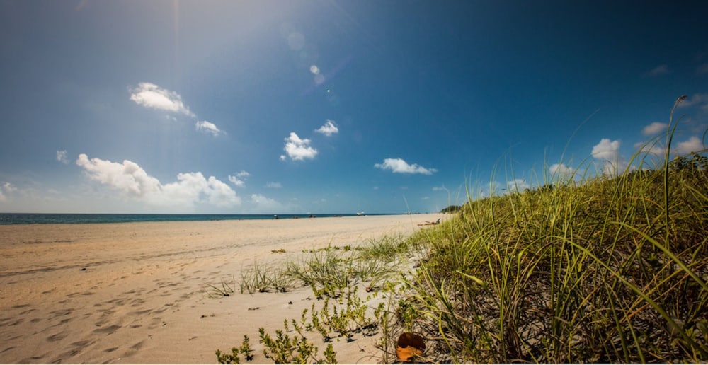 Sun Dek Beach House 47/56