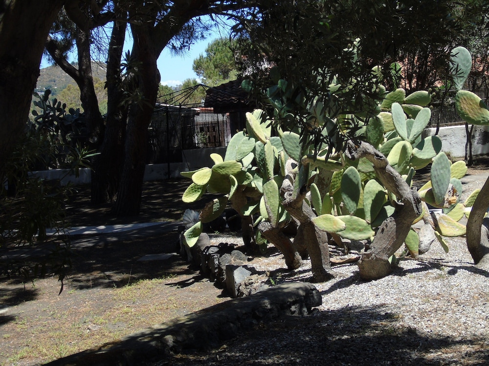 Bed Breakfast Villa Saracina 35/49