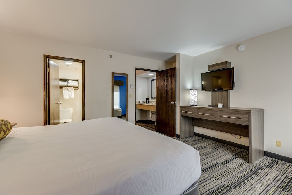 Alexis Inn and Suites Nashville Airport 15/40