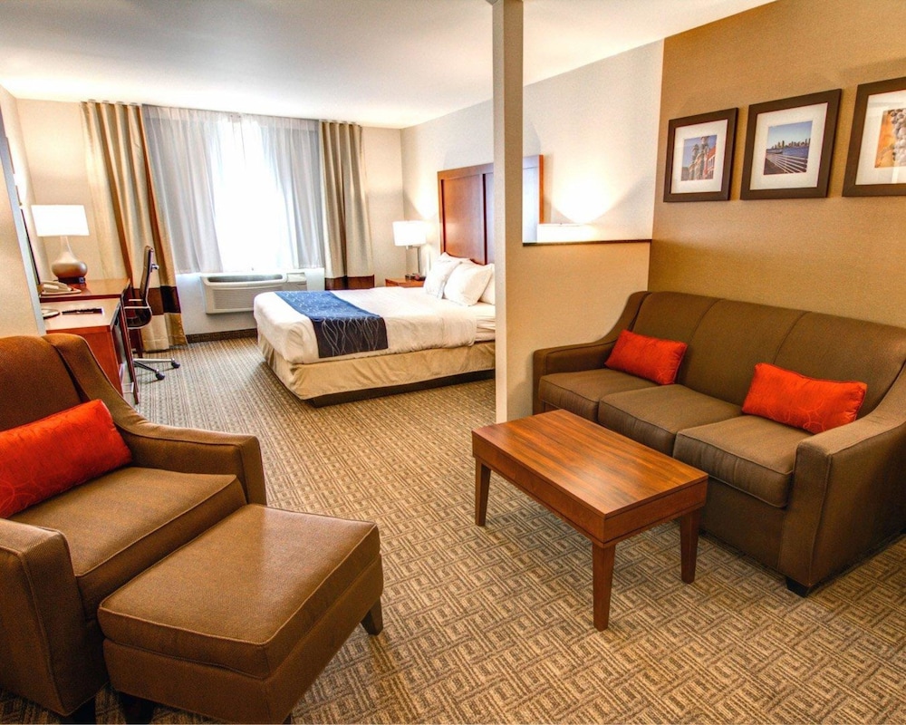Comfort Inn & Suites Near Temecula Wine Country 23/30