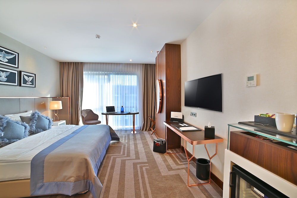 Lionel Hotel Istanbul 41/74
