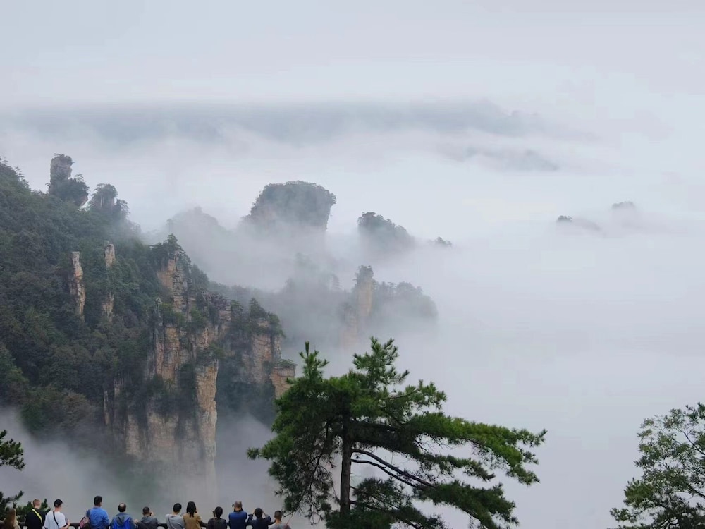 Hotel California Zhangjiajie 42/50