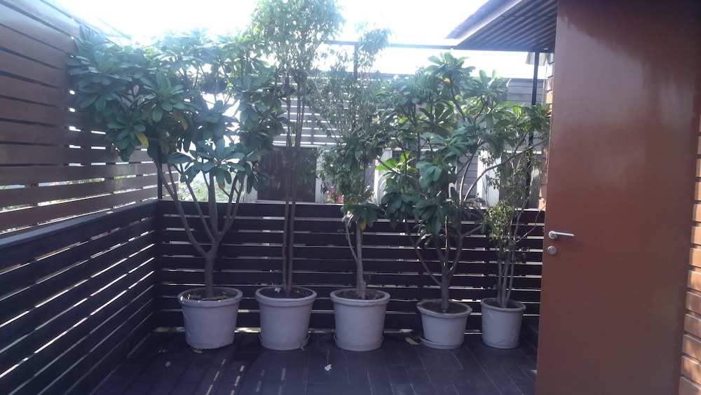 Udman Panchshila Park by Ferns N Petals 5/51