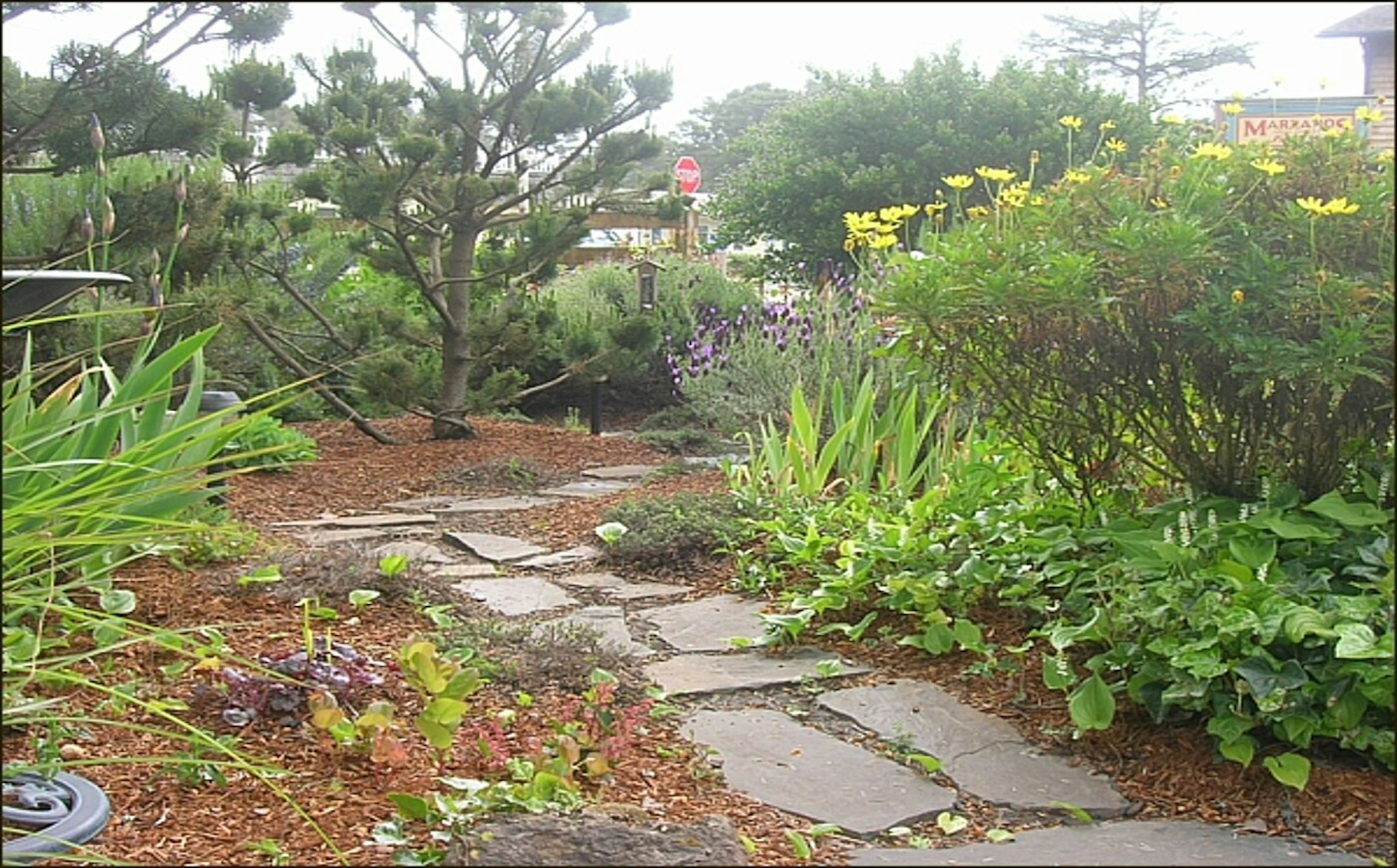 The Inn at Manzanita 14/20
