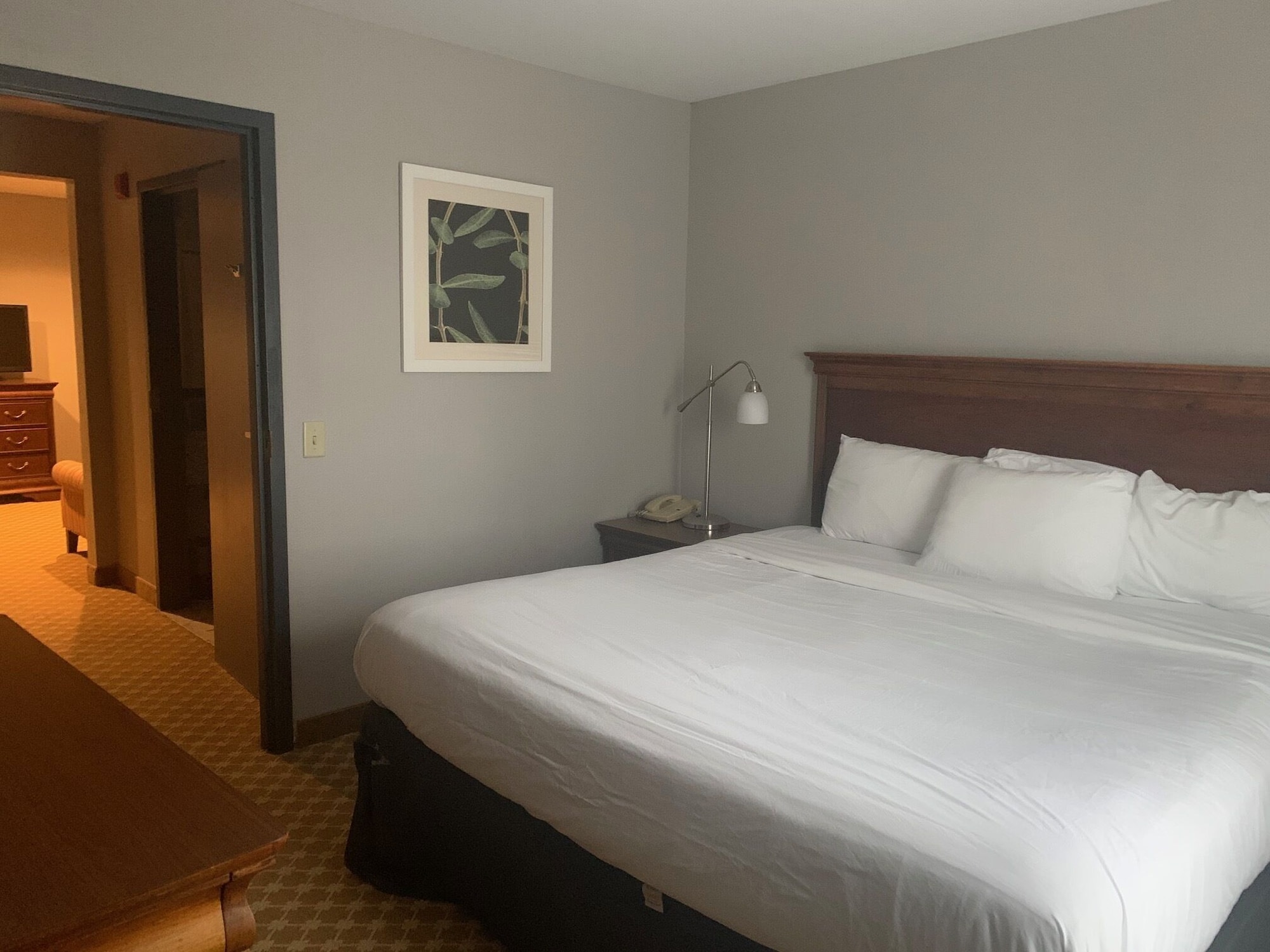 1 Bedroom, Suite