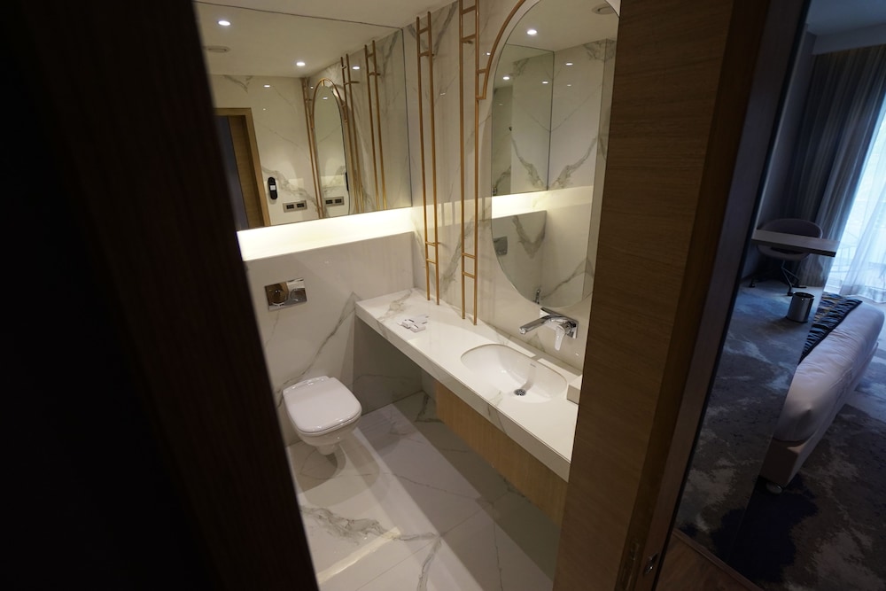 Clarks Inn Suites Raipur 48/50